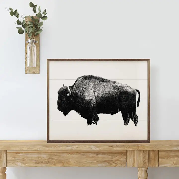 American Bison