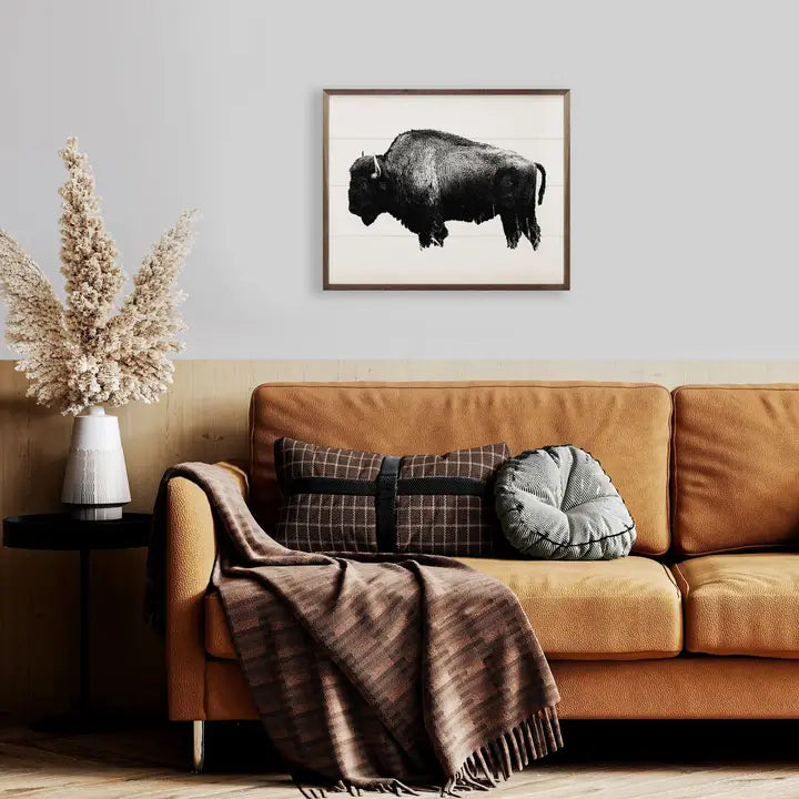 American Bison