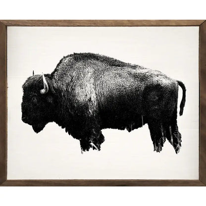 American Bison